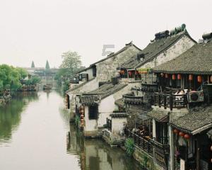 狐狸的旅程